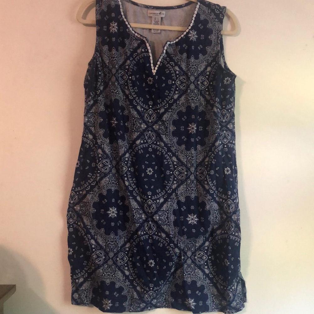 Blue and white swing dress